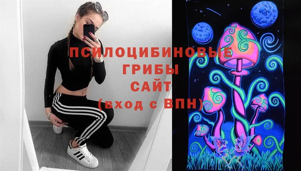 бутират Пролетарск